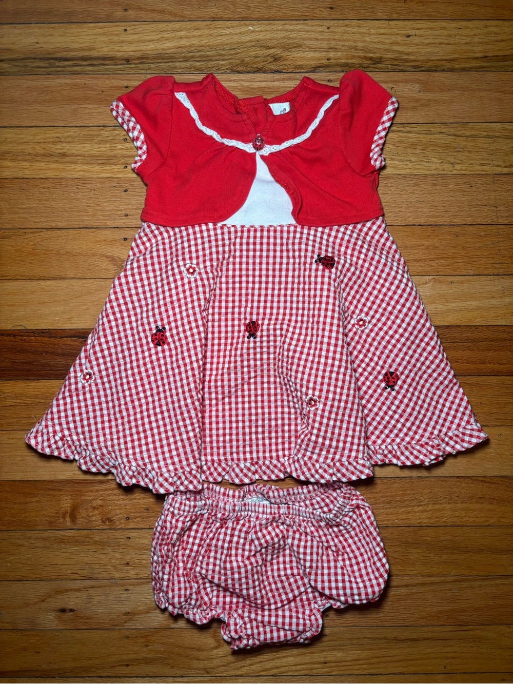 Youngland Red Gingham Dress with Lady Bug and Bloomers